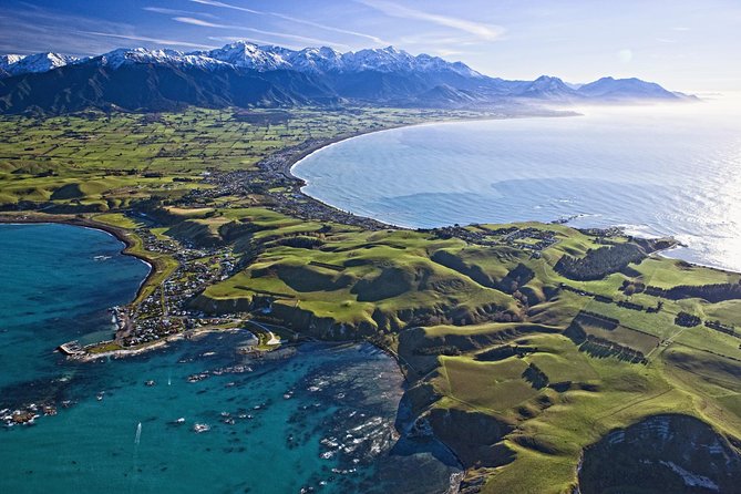 Kaikoura Whale Watch Day Tour From Christchurch - Key Points