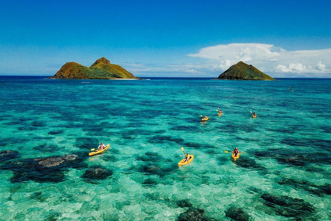Kailua Twin Islands Guided Kayak Tour, Oahu - Key Points