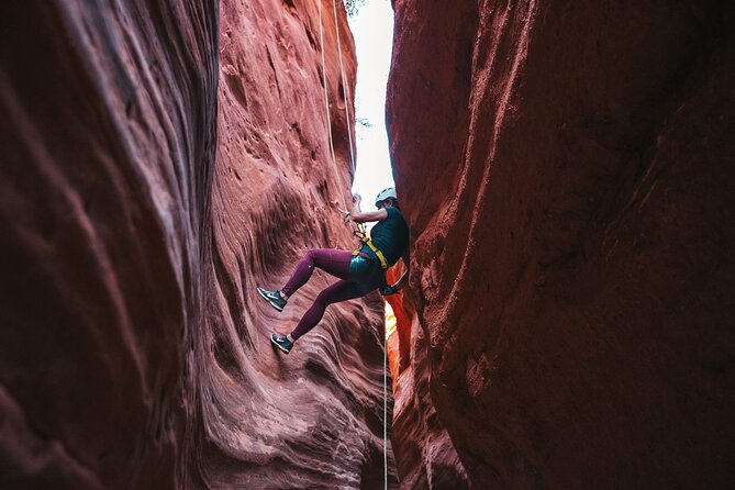 Kanab Small-Group Half-Day Canyoneering Tour  - Zion National Park - Key Points