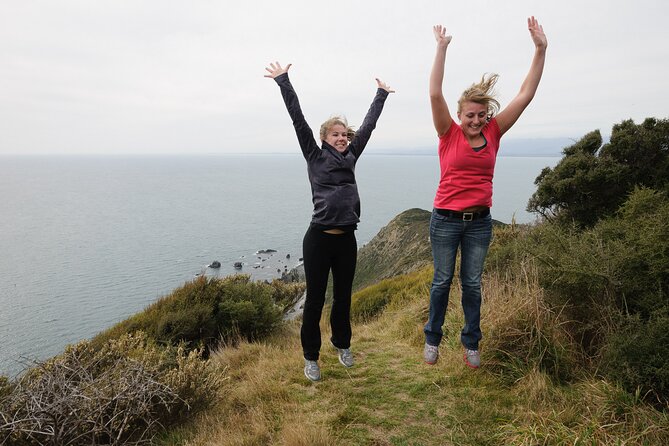 Kapiti Island Classic Guided Day Tour - Key Points