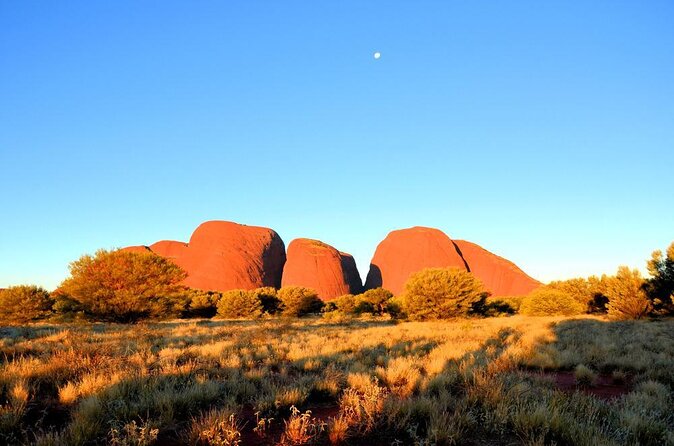 Kata Tjuta Sunset Half Day Trip - Key Points