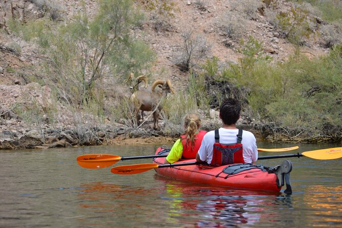 Kayak Hoover Dam With Hot Springs in Las Vegas - Discover the Serenity of Hot Springs