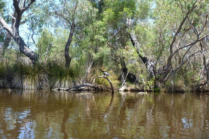 Kayak Tour on the Canning River - Key Points