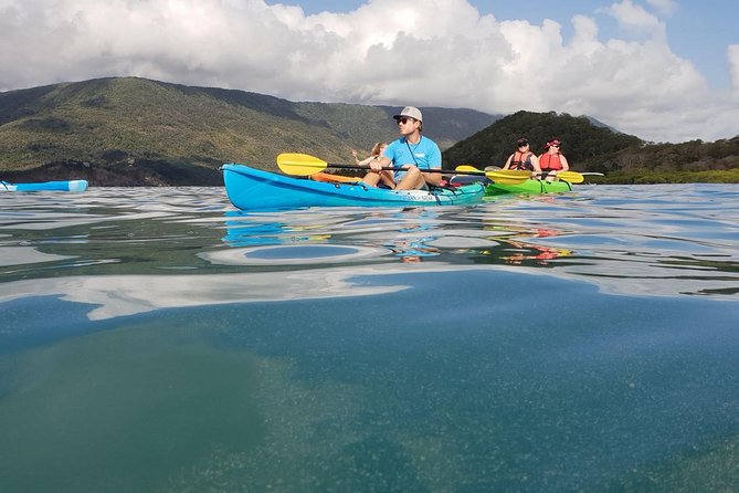 Kayak Turtle Tour From Palm Cove - Key Points