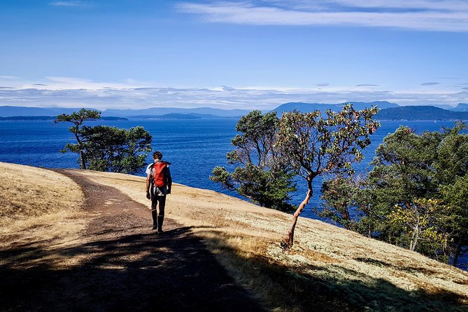 Kayaking Tour in The San Juan Islands, Washington - Key Points