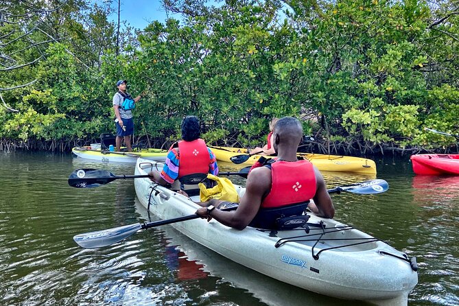 Kayaking Tour of Mangrove Tunnels in South Florida  - Fort Lauderdale - Key Points