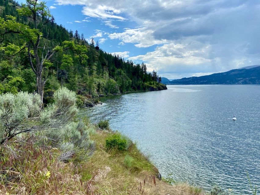 Kelowna: Okanagan Lake Guided E-Bike Tour With Picnic - Key Points