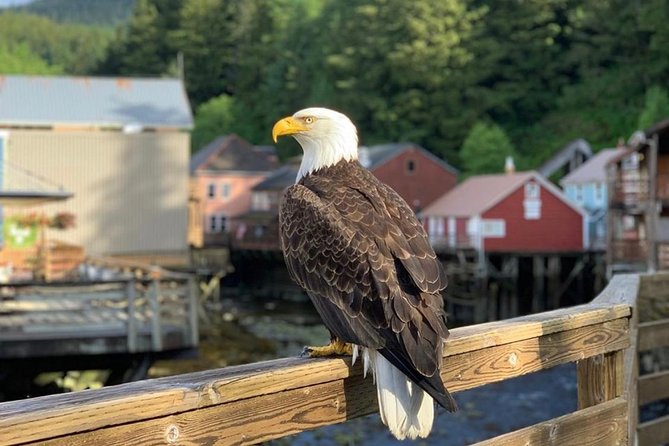 Ketchikan: Tongass and Revillagigedo Island Private Tour - Key Points