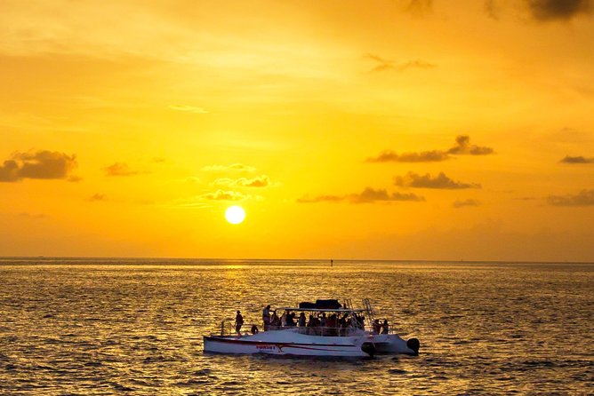 Key West Dolphin & Snorkel Experience - Key Points