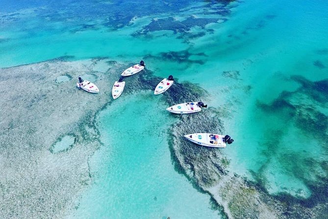 Key West Safari Eco Tour Adventure With Snorkeling - Key Points