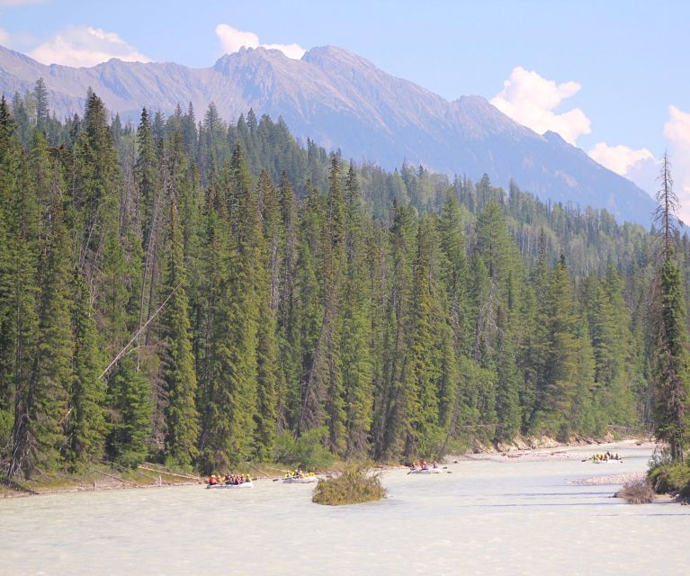 Kicking Horse River: Half-Day Intro to Whitewater Rafting - Itinerary Overview