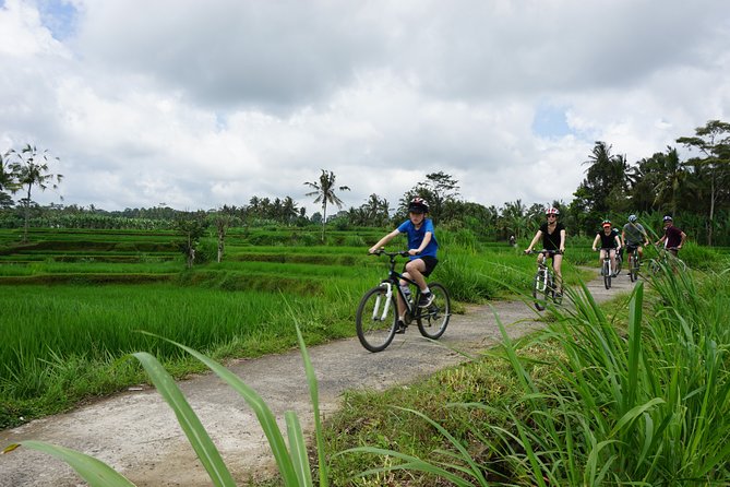 Kintamani Cultural and Nature Cycling Tour - Key Points