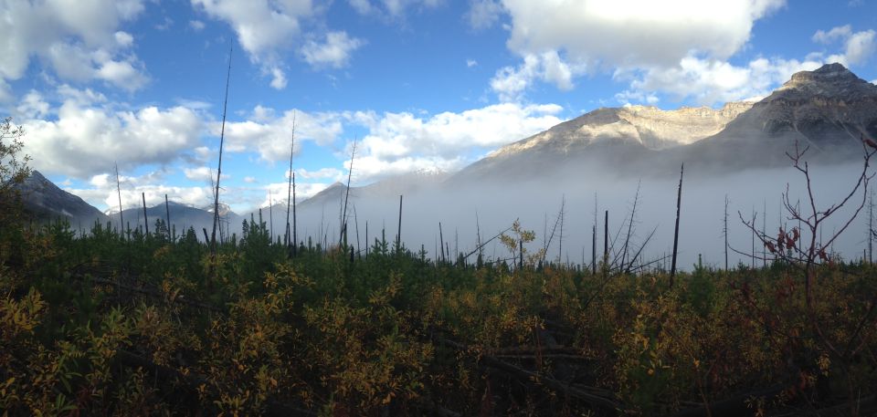 Kootenay National Park: Stanley Glacier Valley Tour - Key Points