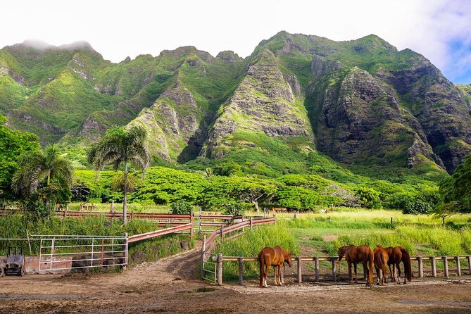 Kualoa Ranch Off-Road Jungle, Garden, Film Location Tour  - Oahu - Key Points