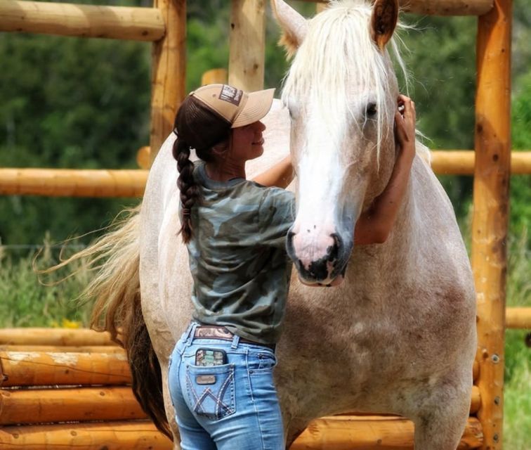 La Vallée: a Charming Introduction to Horseback Riding - Key Points