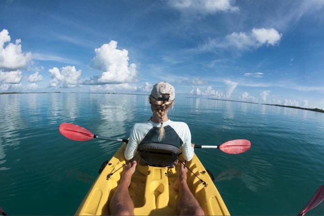 Lahaina Paddle 2-Hour Kayak Small-Group Tour From Maui - Key Points