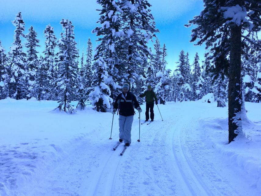 Lake Louise: Cross Country Skiing Lesson With Tour - Key Points