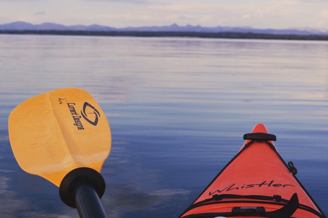 Lake Yellowstone Half Day Kayak Tours Past Geothermal Features - Tour Overview