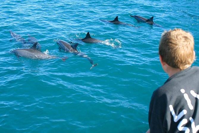 Lanai Snorkel and Dolphin Watch From Maalaea - Tour Highlights