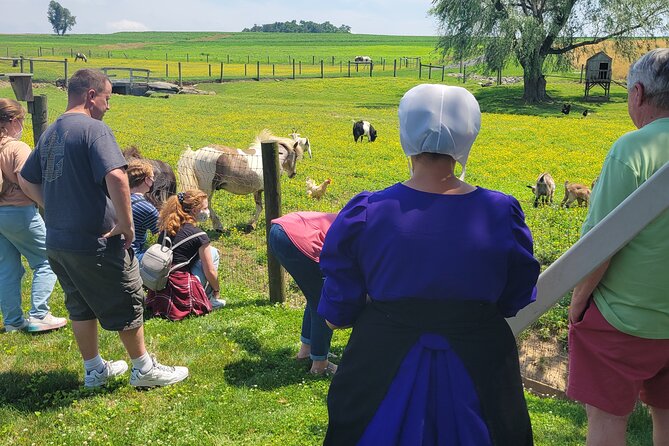 Lancaster County Amish Culture Small-Group Half-Day Tour - Key Points