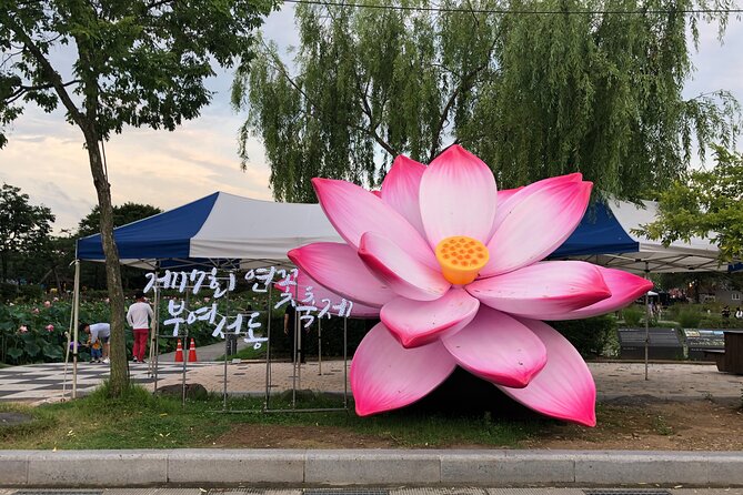 Lotus Festival in Buyeo and Jeonju Hanok Village Tour From Seoul - Key Points