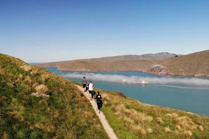 Luxury Private Guided Crater Rim Walk on Banks Peninsula