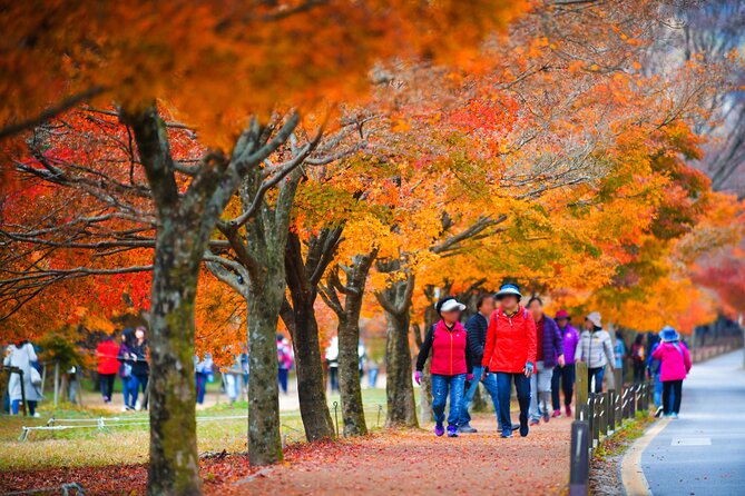 Magnificent Naejangsan National Park Autumn Foliage Tour From Seoul - Key Points