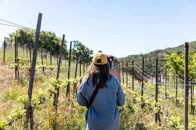 Malibu: Guided Vineyard Hike With Photo Stops and Wine - Key Points