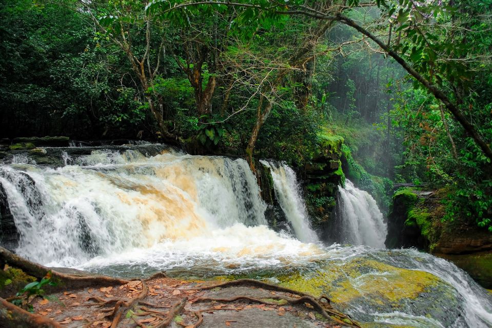 Manaus: Presidente Figueiredo Caves and Waterfalls Tour - Key Points