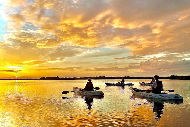 Mangrove Tunnels, Manatee, and Dolphin Sunset Kayak Tour With Fin Expeditions - Key Points