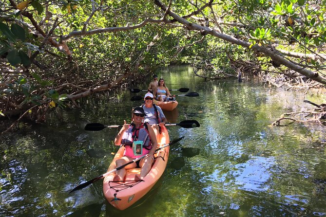 Mangroves and Manatees - Guided Kayak Eco Tour - Key Points