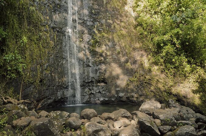 Manoa Waterfall Hike With Healthy Lunch Included From Waikiki - Key Points