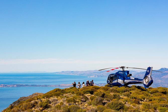 Marine Biologist Whale Watching Helicopter Tour Kaikoura - Key Points