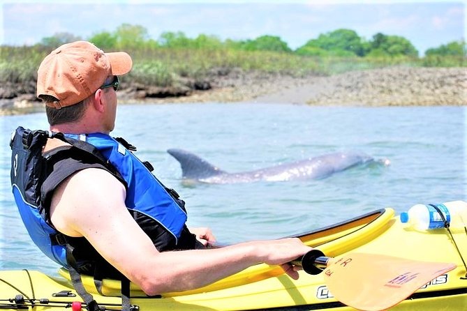 Marsh Kayaking Eco-Tour in Charleston via Small Group - Key Points