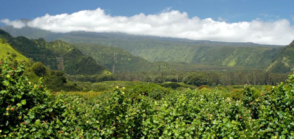 Maui: Full Day Hiking Tour With Lunch - Key Points
