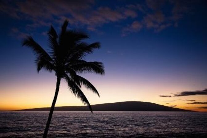 Maui Half-Day Snorkel & Dolphin Tour (Whale-Watching Seasonal) - Key Points