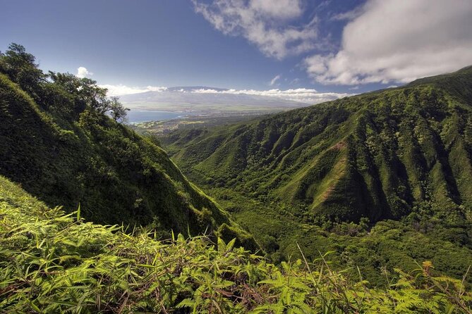 Maui Horseback-Riding Tour - Key Points