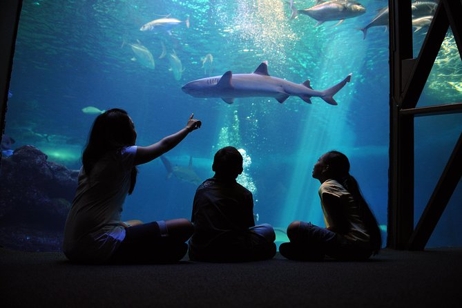 Maui Ocean Center All Day Admission Ticket - Key Points