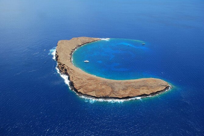 Maui Snorkeling Molokini Crater and Turtle Town - Key Points