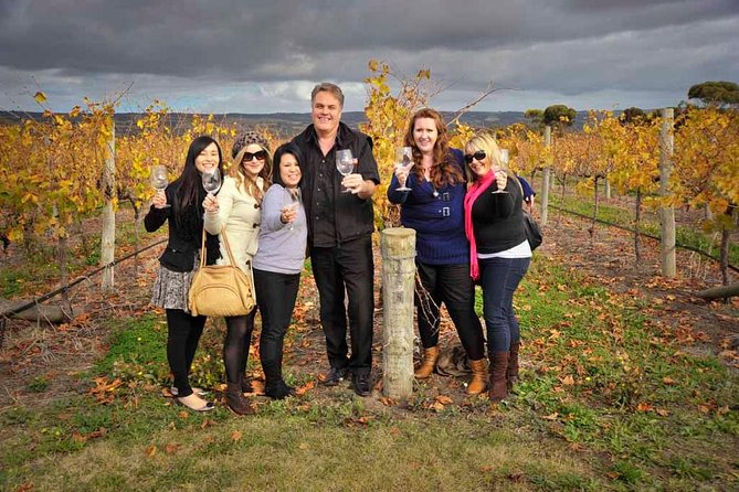 Mclaren Vale Winery Small Group Tour With Wine Tasting and Lunch - Key Points