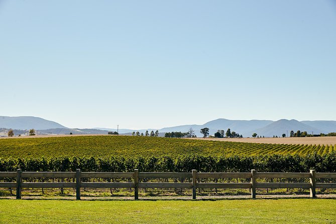 Melbourne: Premium Yarra Valley Wines, Chandon & 2-Course Lunch - Key Points