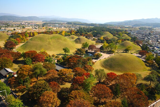 Memorable Autumn Foliage Random Tour (From Busan) - Key Points
