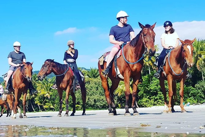 Mid-Morning Beach Horse Ride in Cape Tribulation - Key Points