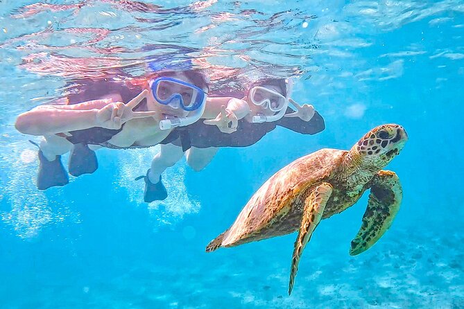 Miyako Two Activities in Half Day SUP and Sea Turtle Snorkeling - Key Points
