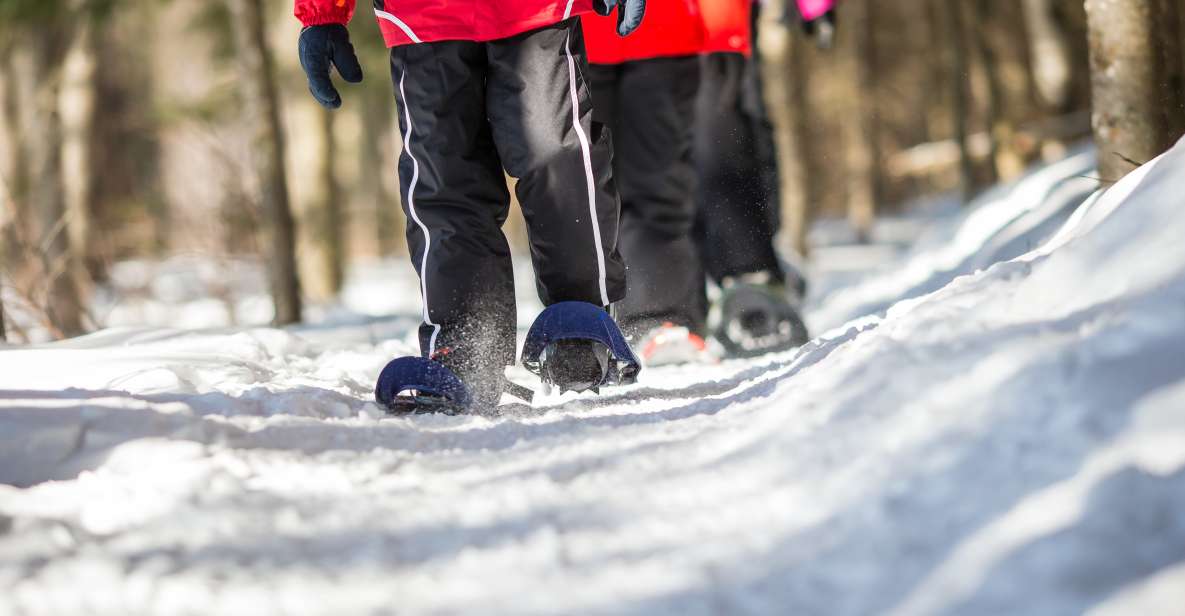 Mont-Tremblant: Snowshoe Rental - Key Points