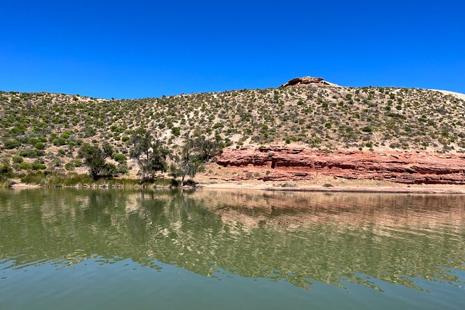 Morning Cruise on the Murchison River in Kalbarri (April to Nov) - Key Points