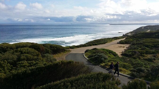 Mornington Peninsula Sightseeing Private Full Day Tour From Melbourne 2-6 Guests - Key Points