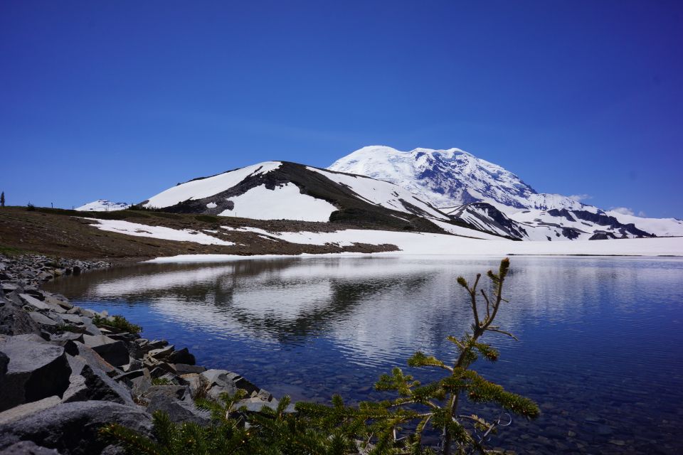 Mount Rainier: Day Hike on the Mountain - Key Points