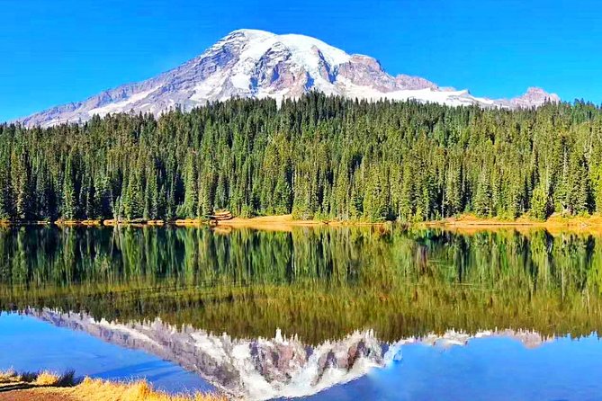 Mount Rainier National Park Day Tour From Seattle - Key Points