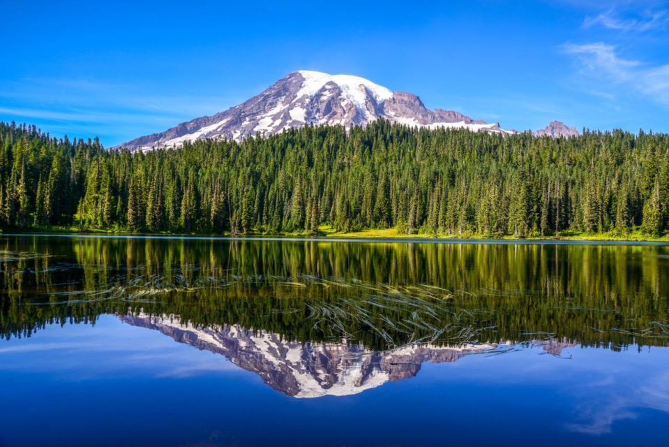 Mount Rainier National Park:Nature, Waterfalls,and Wildlife - Scenic Waterfall Encounters